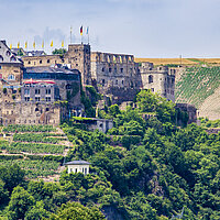 Ruine der Burg Rheinfels, unterhalb der Ruine sind Weinberge zu sehen