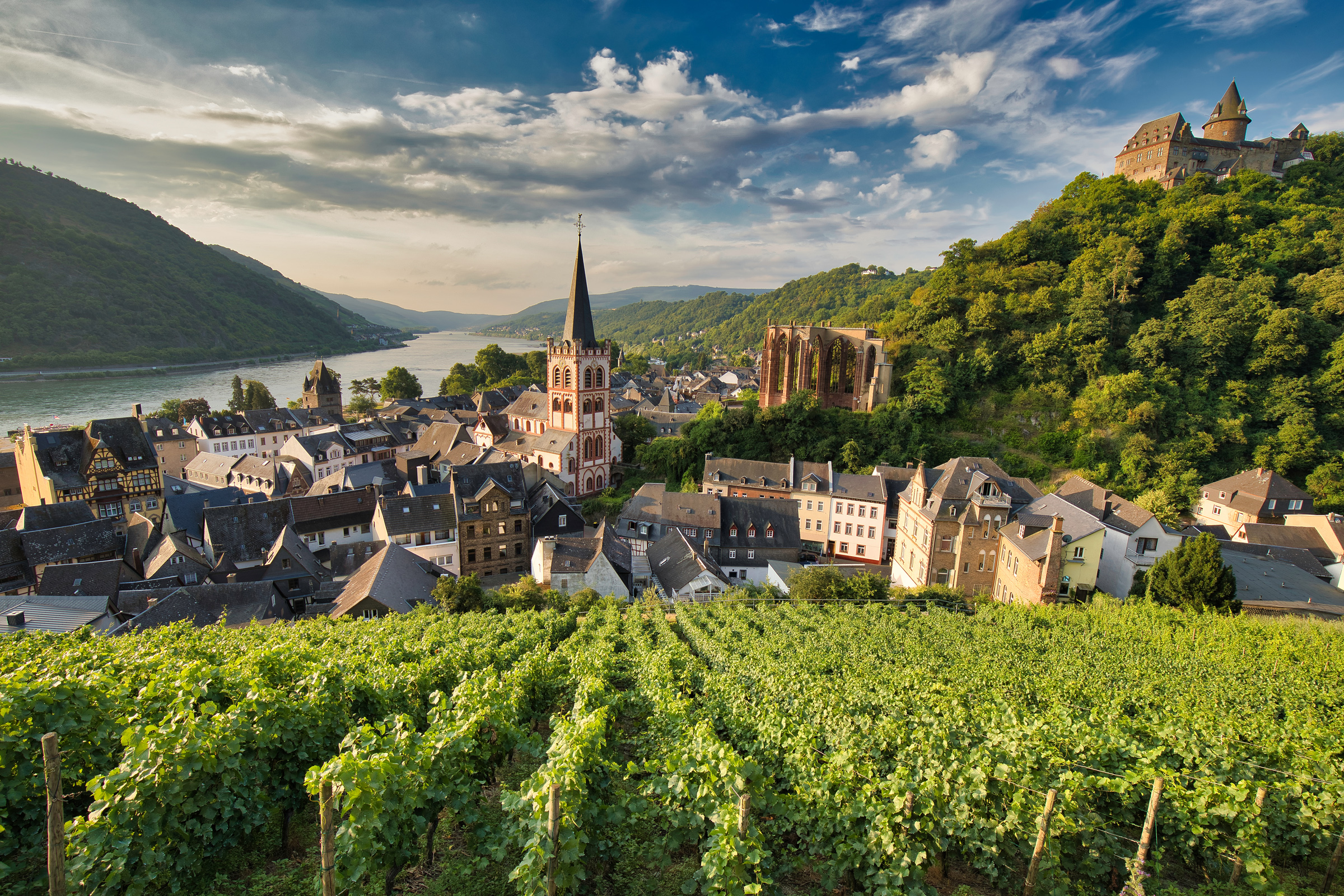 Bacharach, Deutschland, im frühen Morgenlicht.